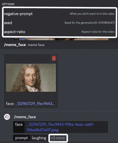 PixVerse教程:Discord中使用 /Meme_face 用脸部图片创建视频-5 PixVerse教程:Discord中使用 /Meme_face 用脸部图片创建视频