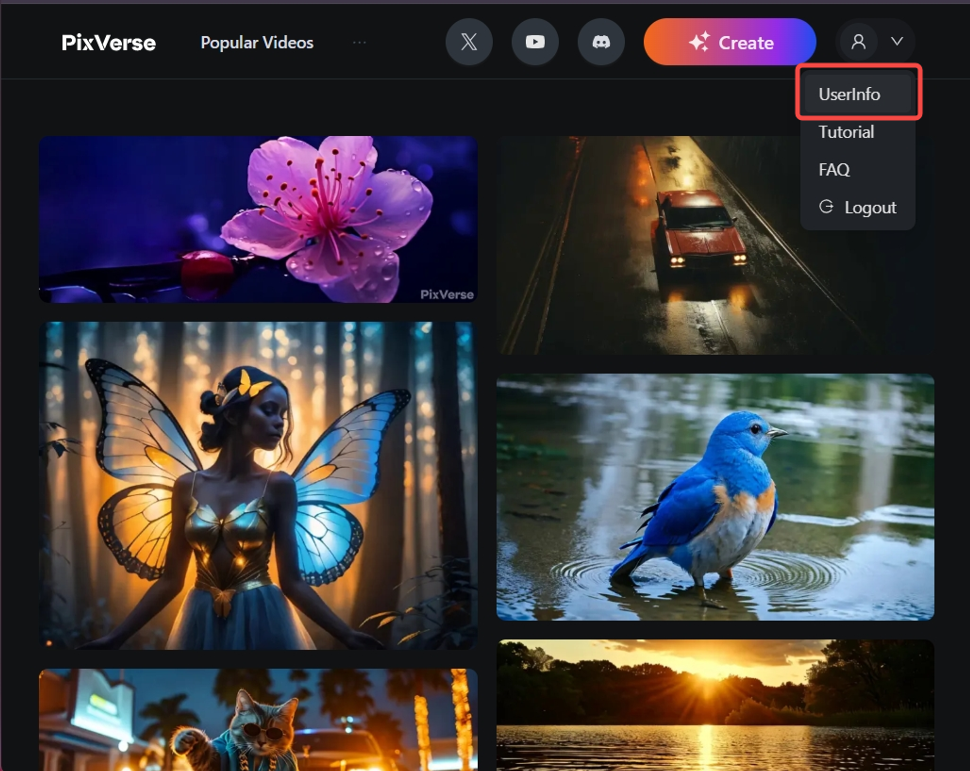 PixVerse网页版使用常见问题-1 PixVerse网页版使用常见问题