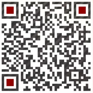 国内如何使用Copilot for PowerBI & Fabric