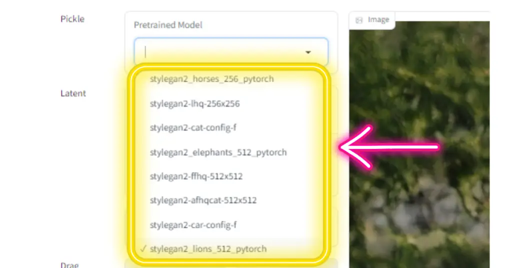 DragGAN:交互式图像编辑工具,点选和拖拽控制图像位置-2 DragGAN:交互式图像编辑工具,点选和拖拽控制图像位置